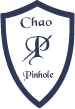 Chao Pinhole Surgical Technique logo